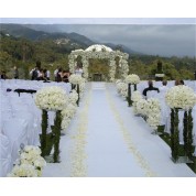 Wedding Party Event Backdrops