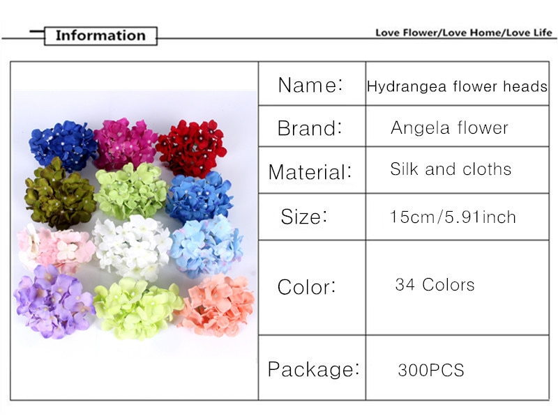 Types of flowers and their characteristics